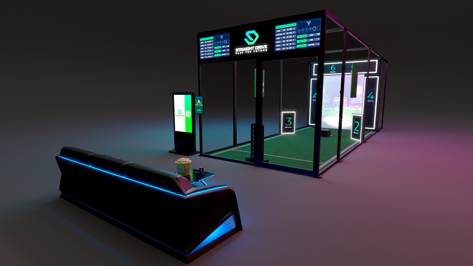 Cricket simulator batting cage